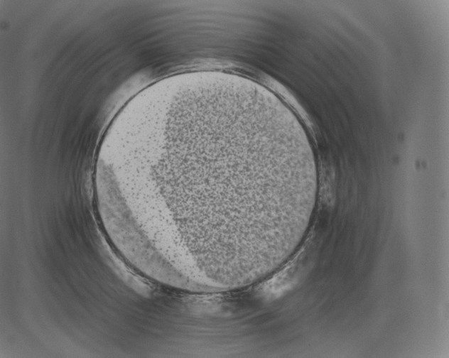 X0000081430810200702092158