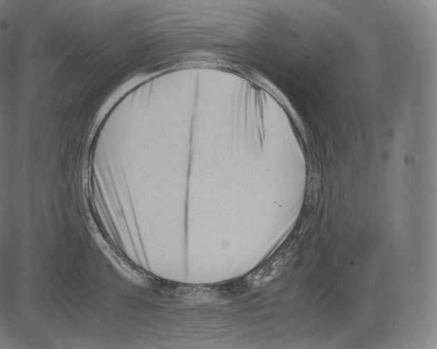 X0000081430811200702092158