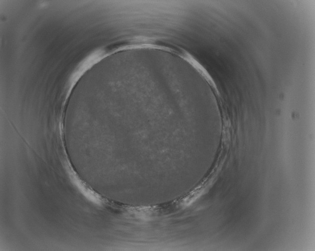 X0000081430813200702092158