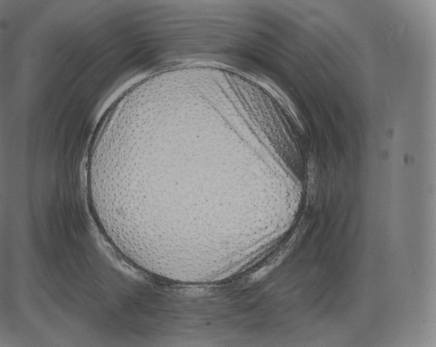 X0000081430814200702092158