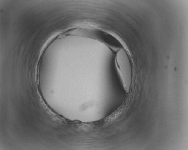 X0000081430815200702092158