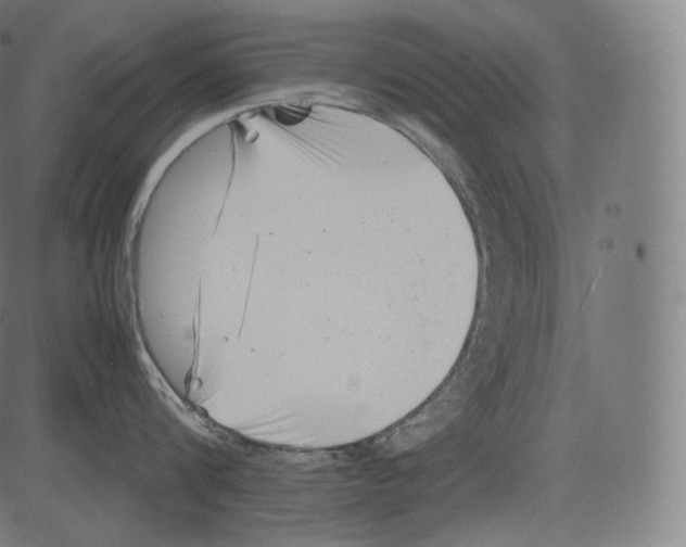 X0000081430816200702092158