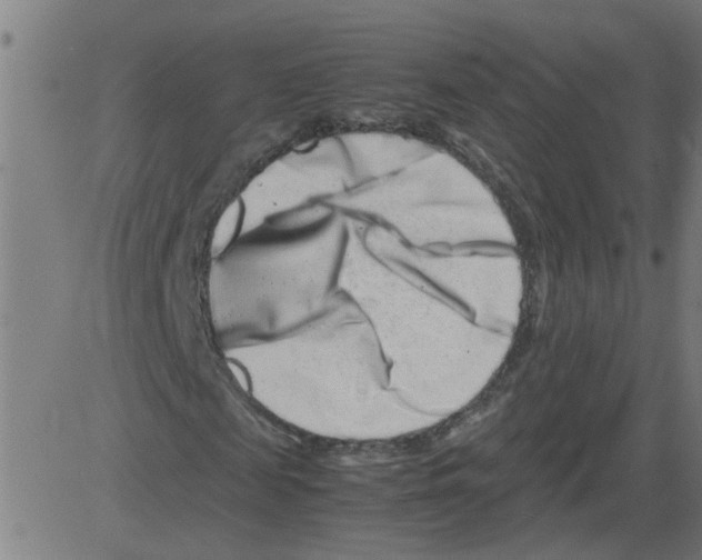 X0000081430817200702092157