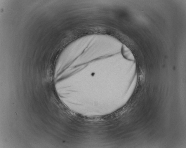 X0000081430819200702092157