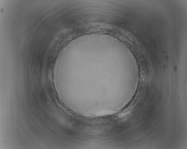 X0000081430820200702092157