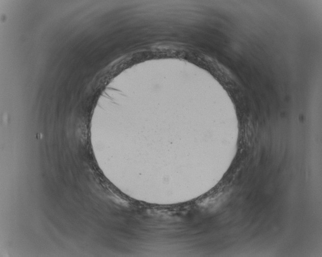 X0000081430821200702092157