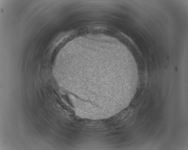 X0000081430823200702092157