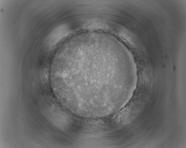 X0000081430824200702092157