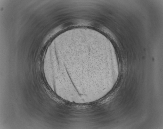 X0000081430827200702092157