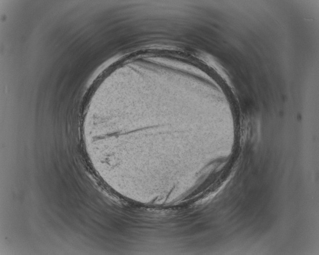 X0000081430829200702092157