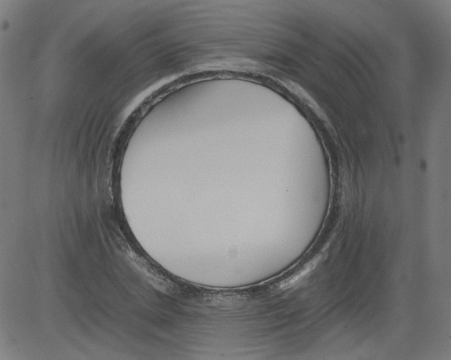 X0000081430830200702092157