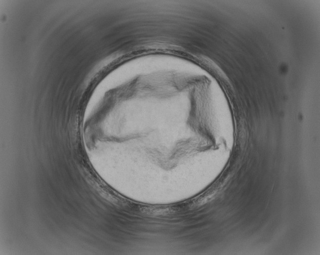 X0000081430831200702092157