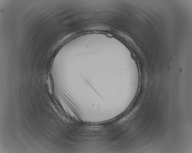 X0000081430833200702092157