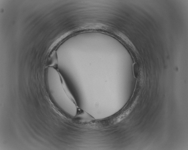 X0000081430834200702092157