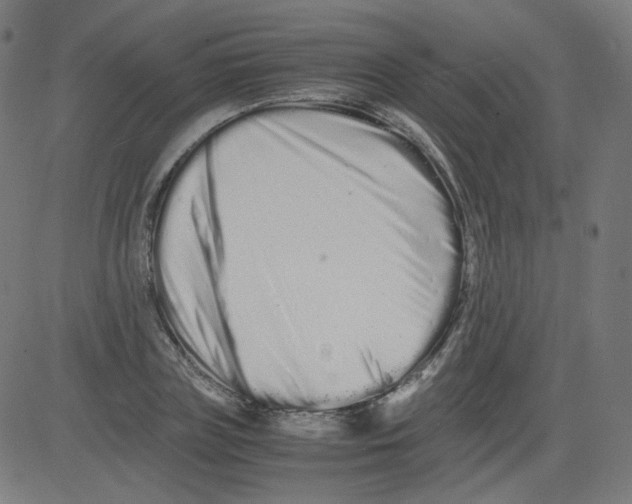 X0000081430835200702092157