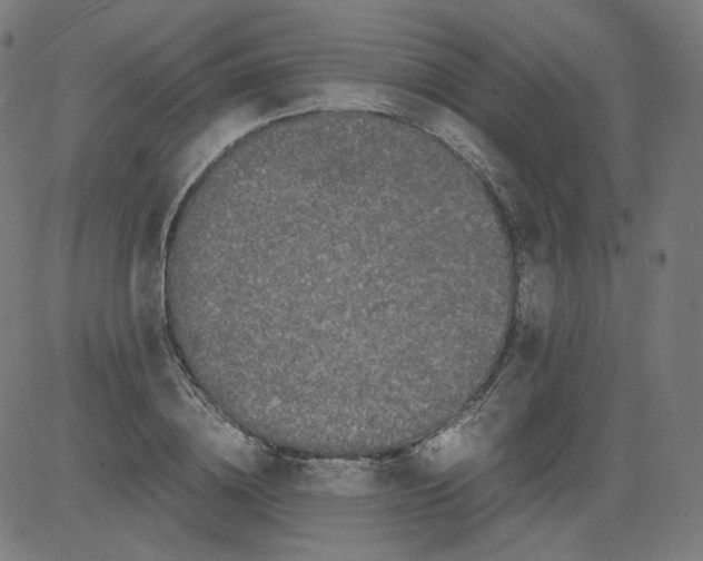 X0000081430836200702092157