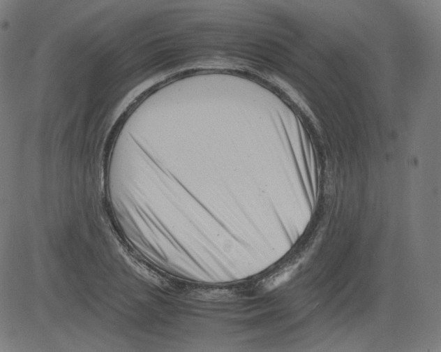 X0000081430837200702092157