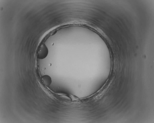 X0000081430838200702092157