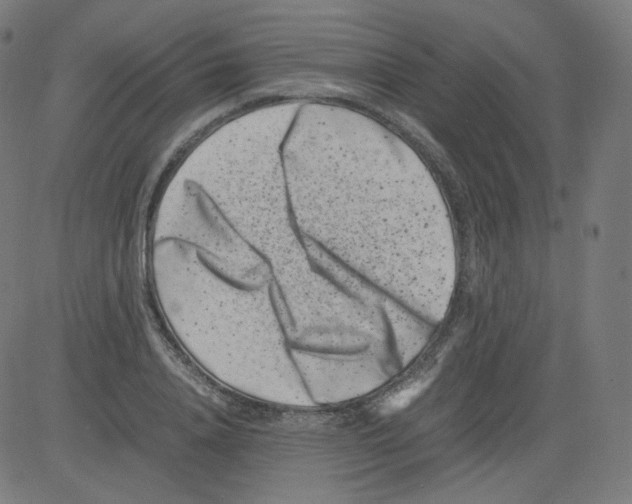 X0000081430840200702092157