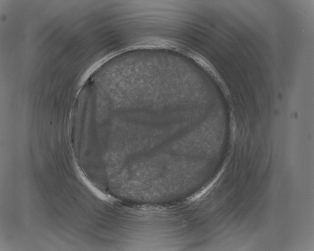 X0000081430842200702092157