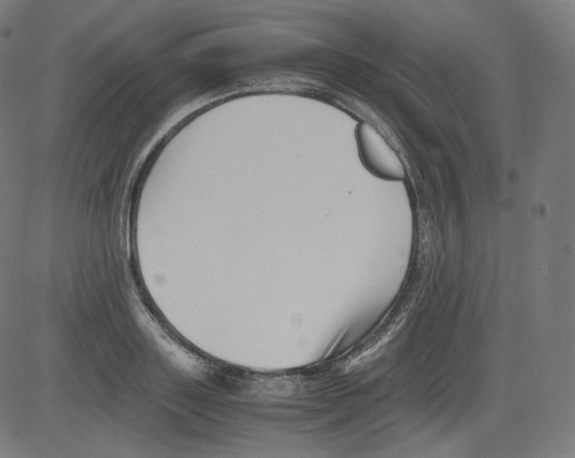 X0000081430843200702092157