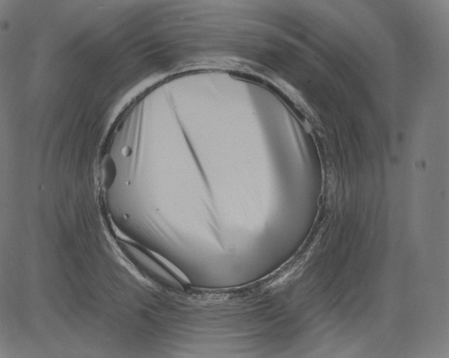 X0000081430846200702092157