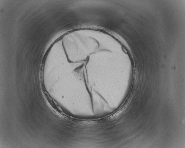 X0000081430847200702092157