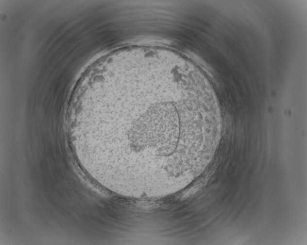 X0000081430848200702092158