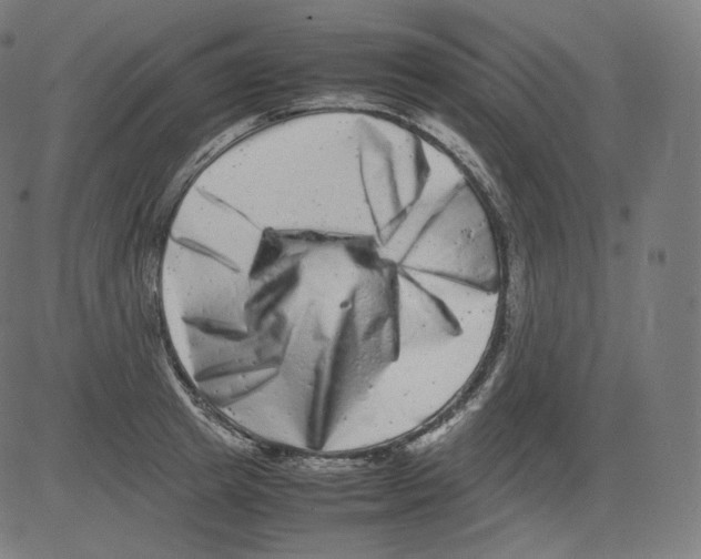 X0000081430849200702092158