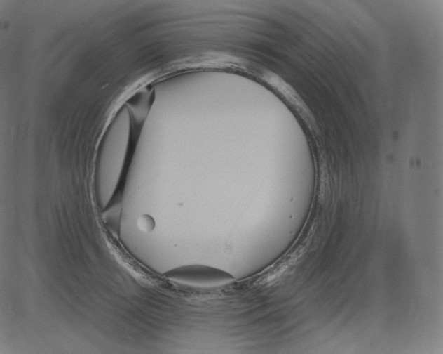 X0000081430850200702092158