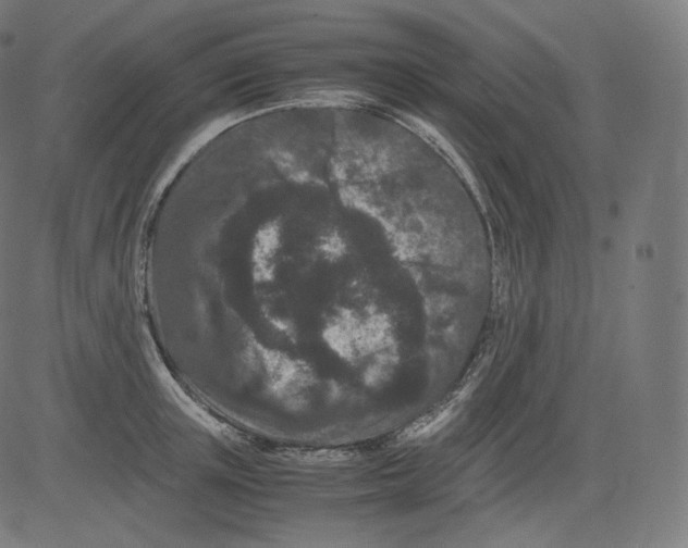 X0000081430851200702092158