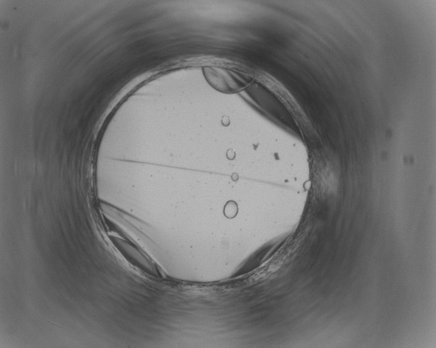 X0000081430852200702092158