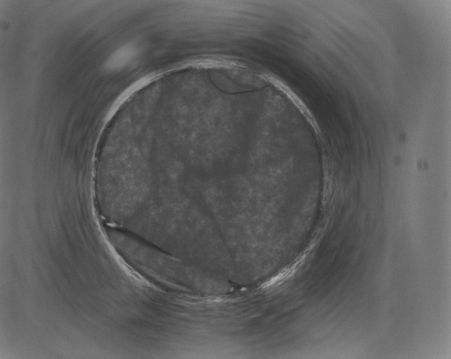 X0000081430853200702092158