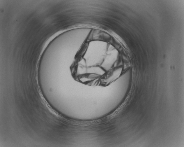 X0000081430854200702092158