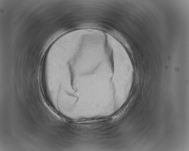 X0000081430855200702092158