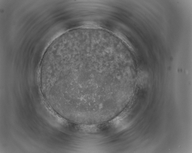 X0000081430856200702092158