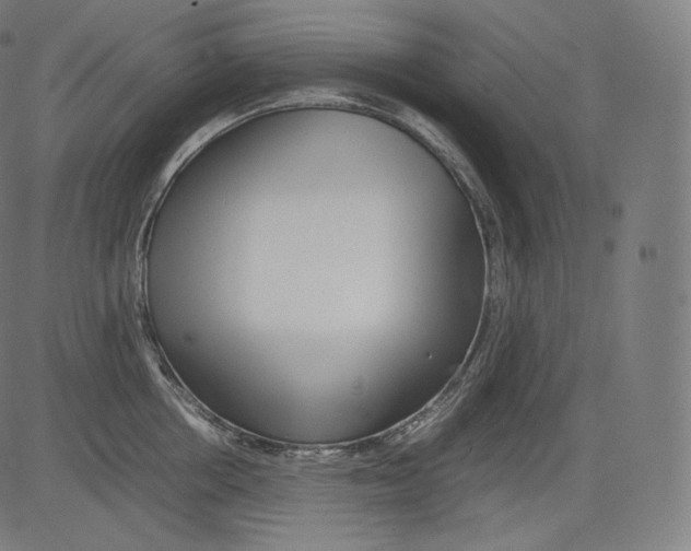 X0000081430858200702092158