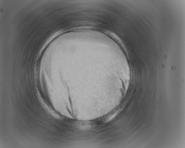 X0000081430859200702092158