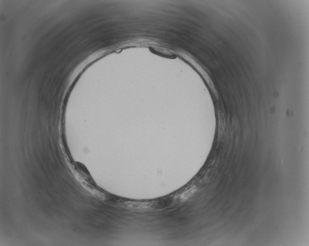 X0000081430861200702092158