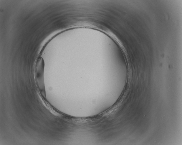 X0000081430862200702092158