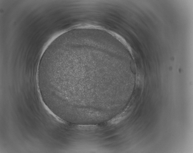 X0000081430863200702092158