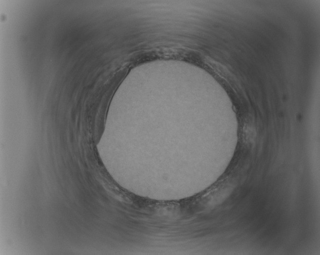 X0000081430865200702092157