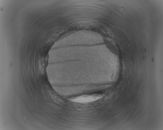 X0000081430868200702092157