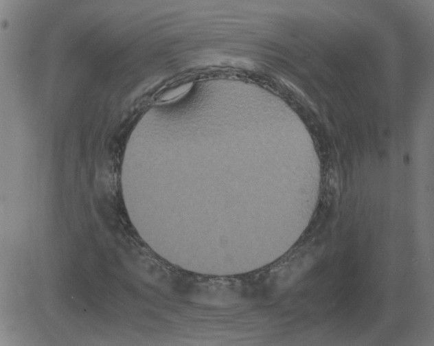 X0000081430869200702092157