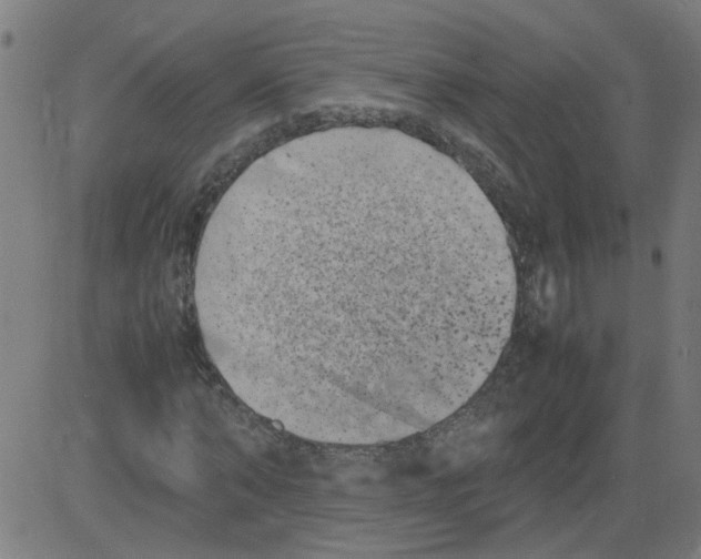 X0000081430870200702092157