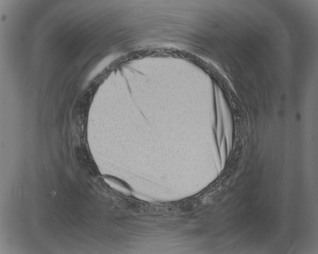 X0000081430871200702092157