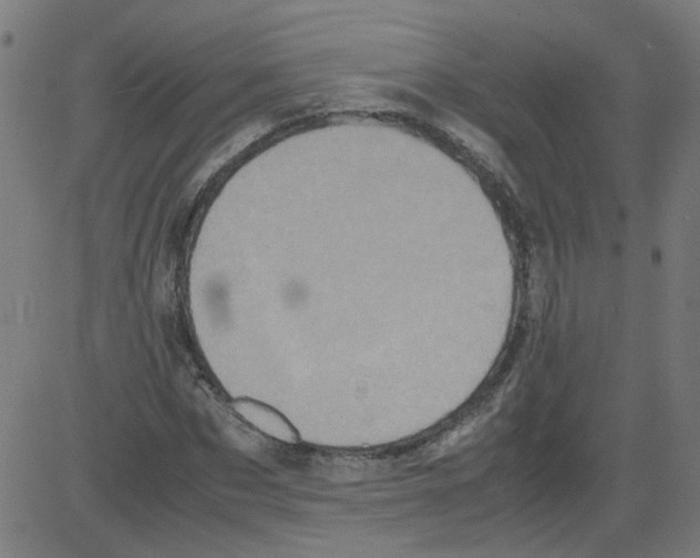 X0000081430873200702092157