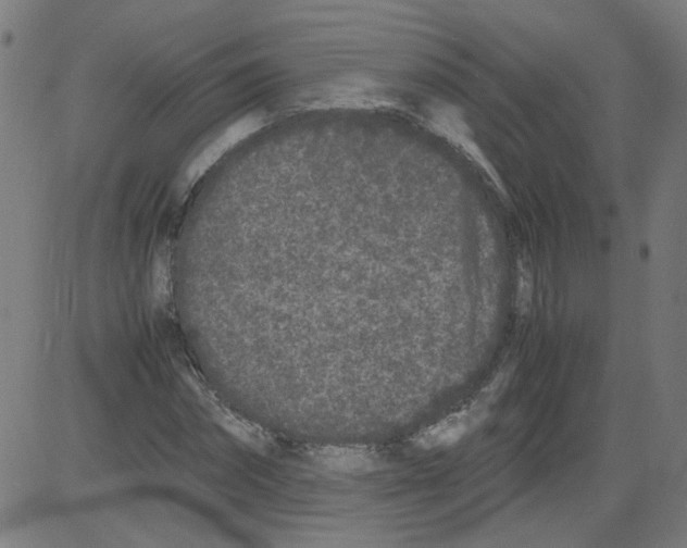 X0000081430874200702092157