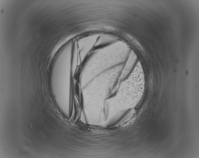 X0000081430877200702092157