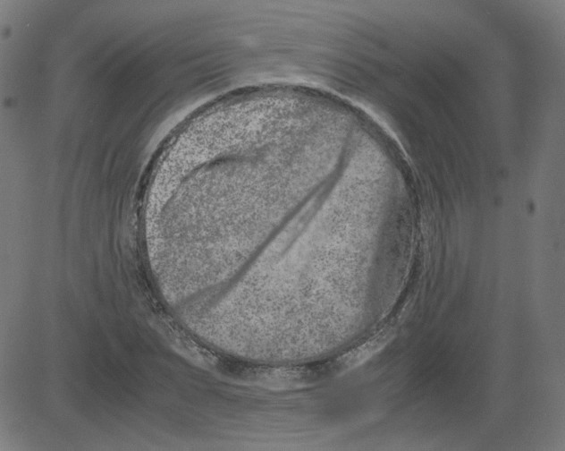 X0000081430879200702092157